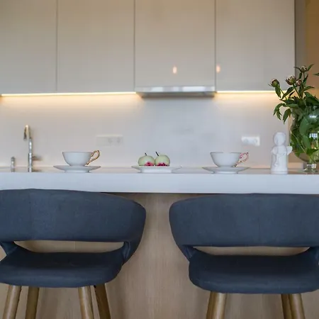 Penthouse Leilighet Druskininkai Eksteriør bilde